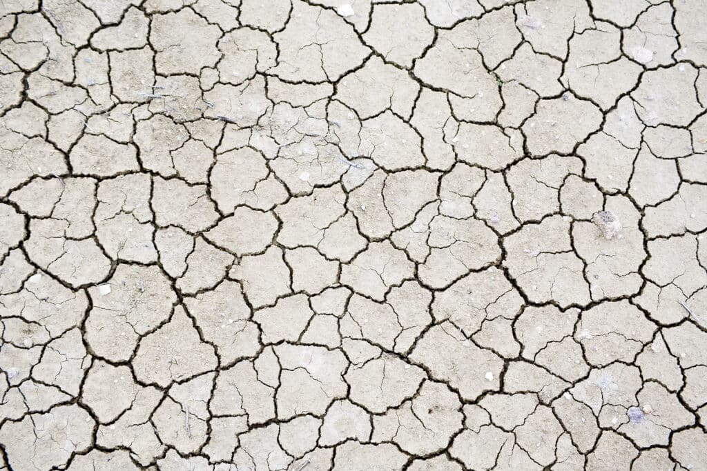 Everything You Should Know About Dry Mouth Everything You Should Know About Dry Mouth