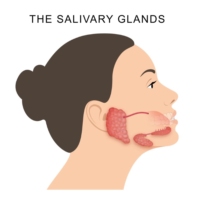 saliva